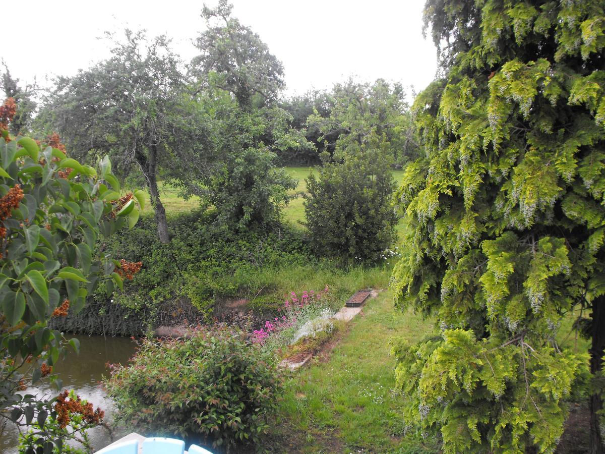 Domaine De La Madeleine Bed and Breakfast Ygrande Exteriör bild